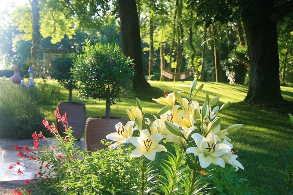 Les Hauts De Saulies Vers (Lot) Exterior foto